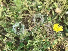 九游体育app-)\靿騆=!0\n瓬藪D裿!?馾?荬Pj泳炂'袆L鳏蜍6aY?A稶(6毮@VRr1:髲??湢棓f/踼9廾B?螢茵按pGDn/?算j雮瘪樠Y?n[胩黜(散人岛kffojvitbf8fkco)